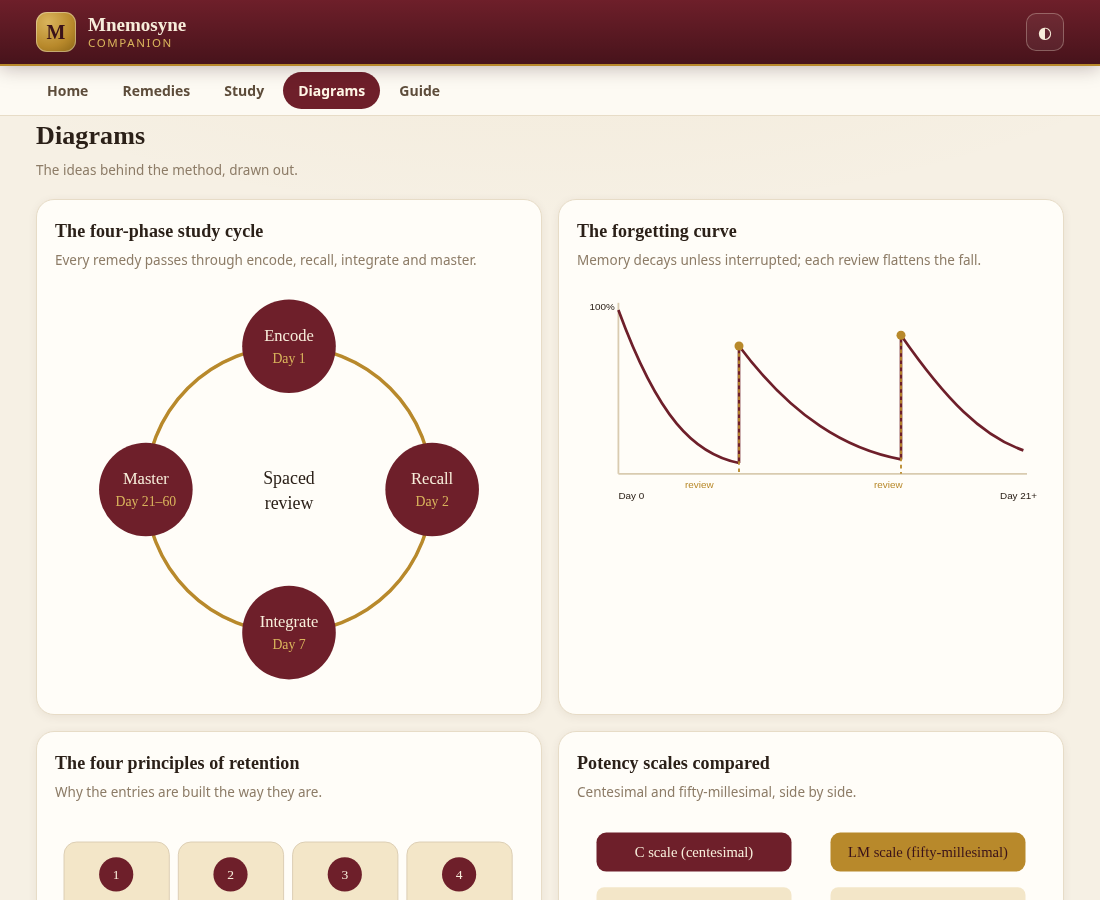 Diagrams view showing the four-phase study cycle and the forgetting curve
